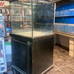 Sapphire Glass Aquarium (60 Gallon)