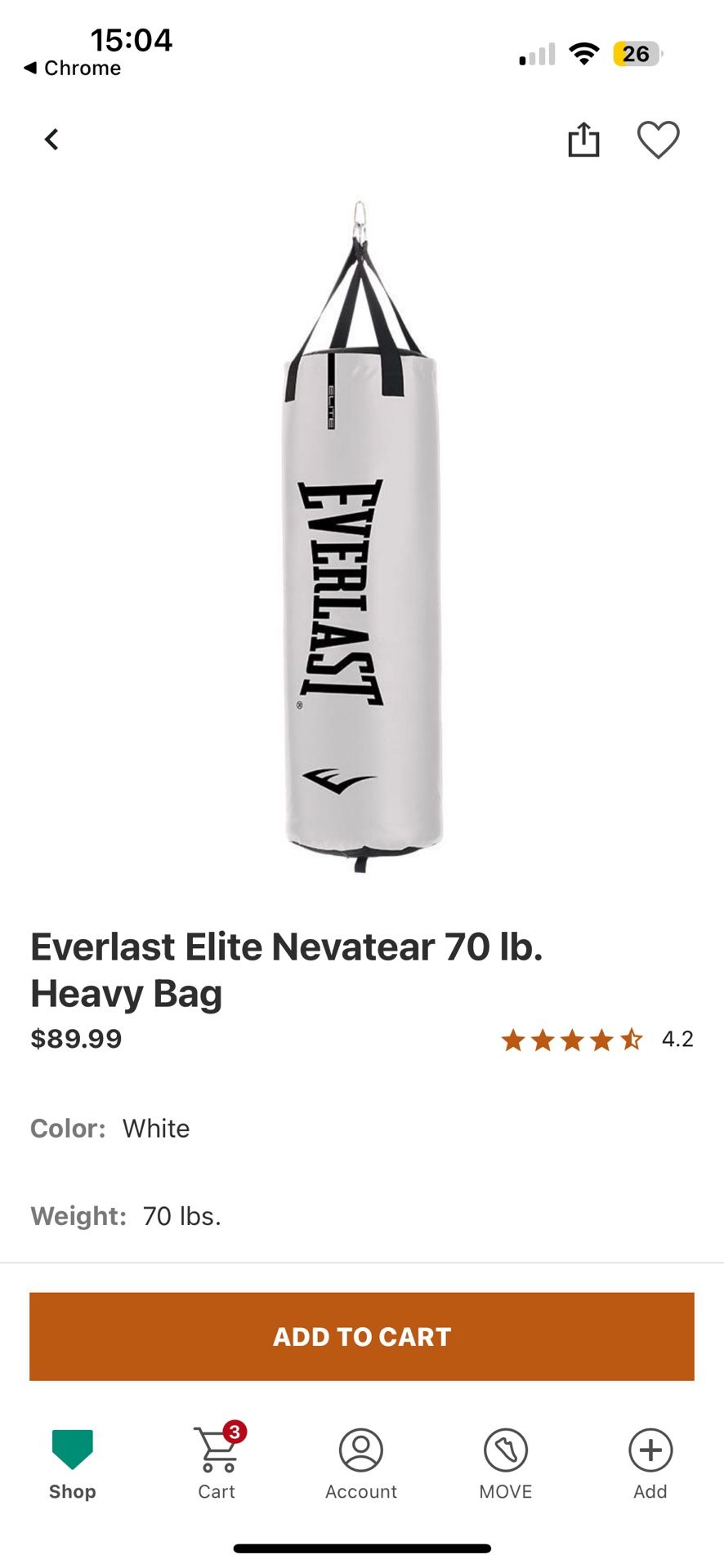 Everlast Punching Bag Setup