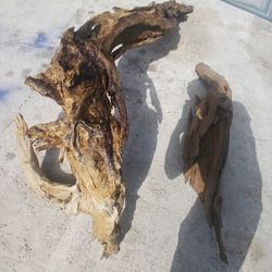 Large Salt Water Driftwood 