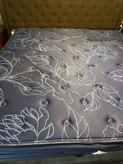 Free king mattress