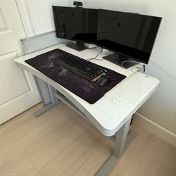 Adjustable Desk NEGOTIABLE