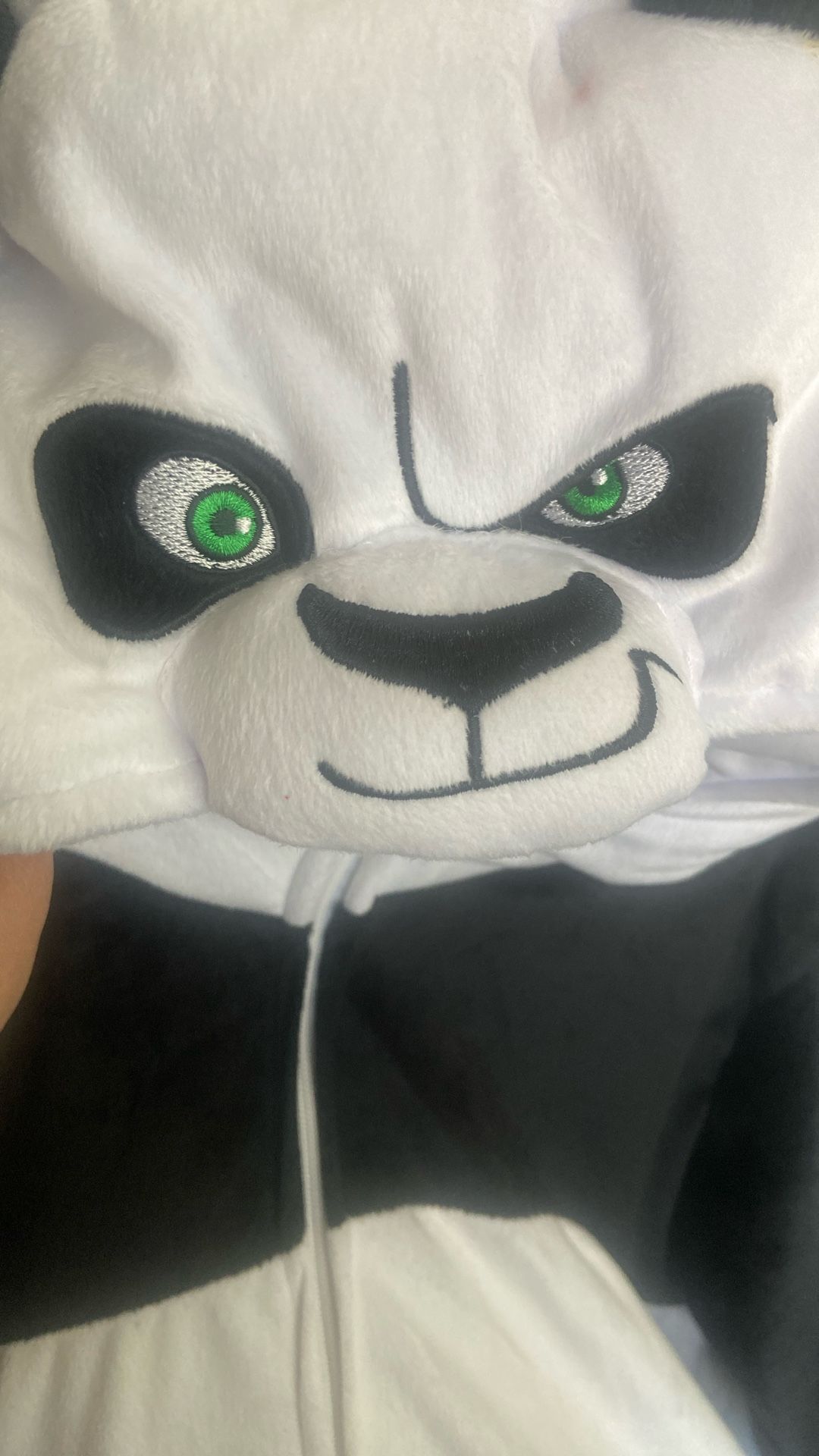 Costume Kung Fu Panda 🐼