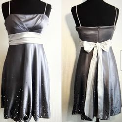 Dressbarn Silver Dress