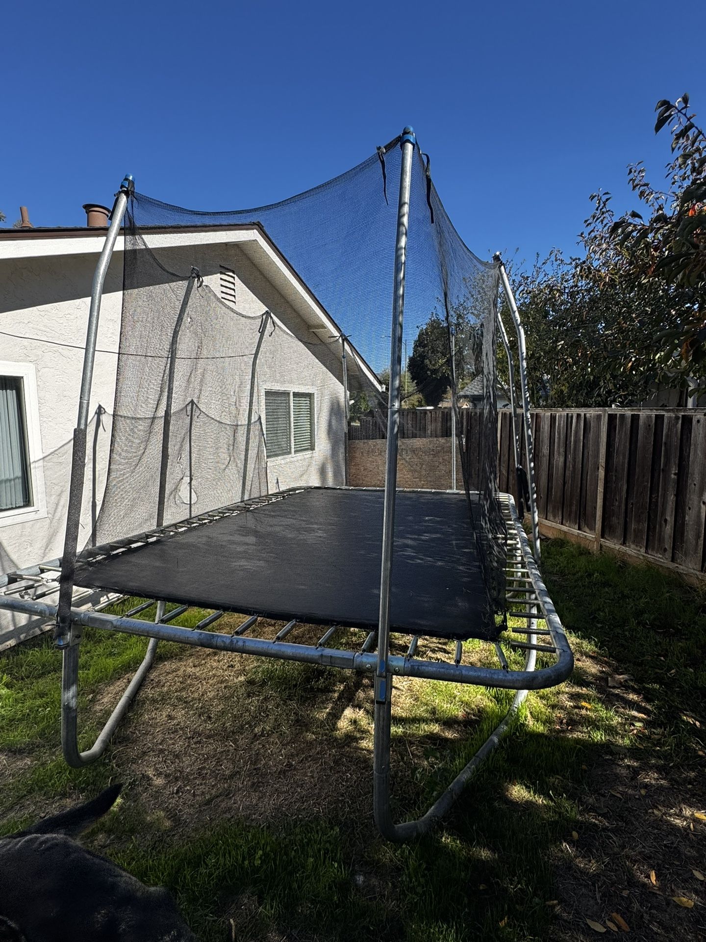 Free Trampoline