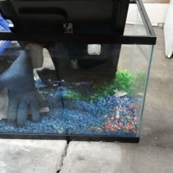 Fish Tank