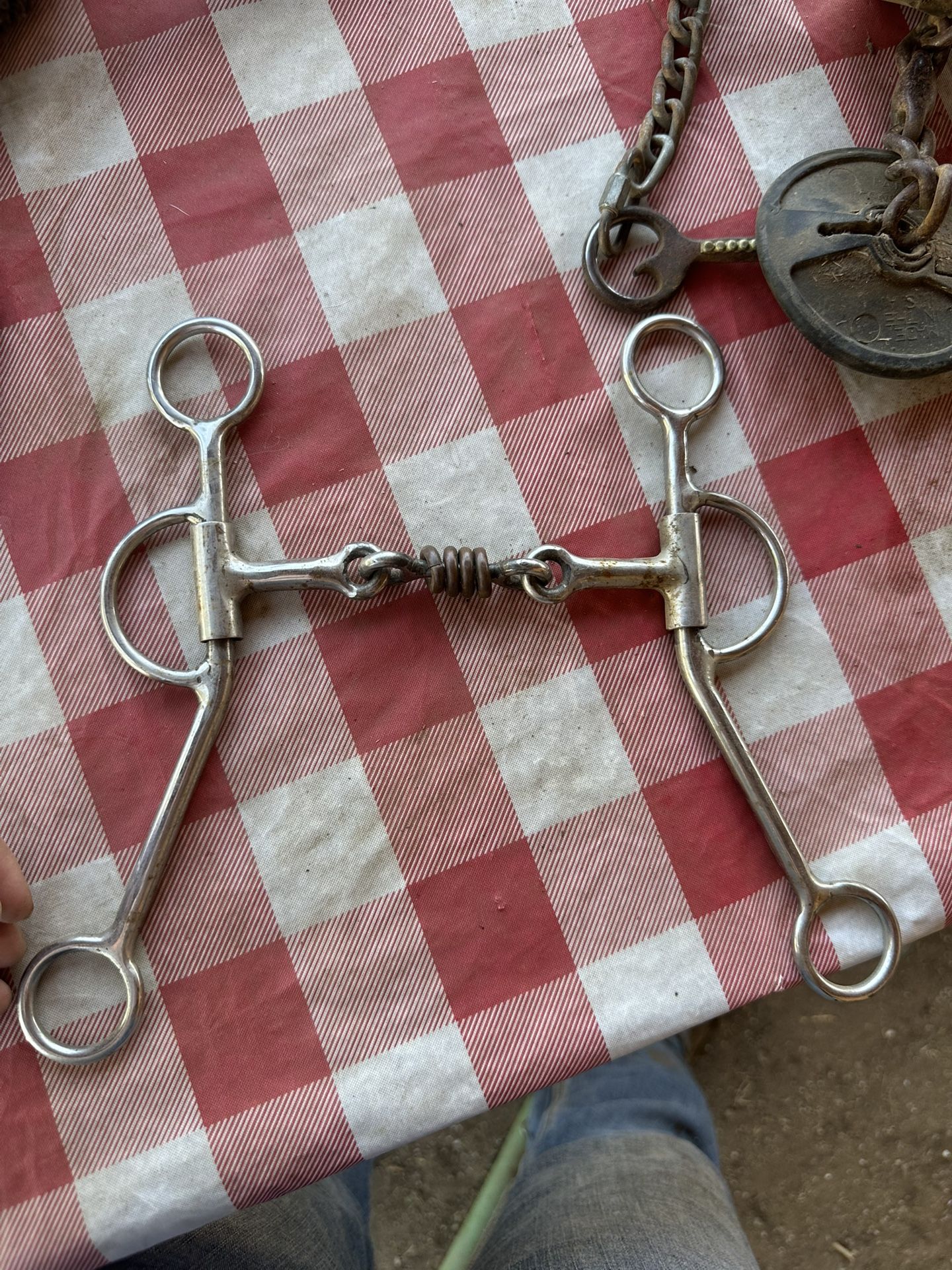 Snaffle with rollers