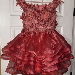 HOCO/Quince Tulle Dress