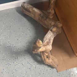 Drift Wood For Reptile Cage