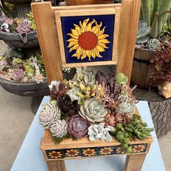 Mother’s Day Succulent Chair 