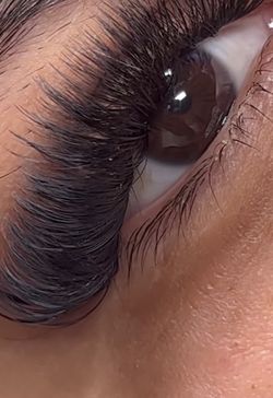 Volume Lashes