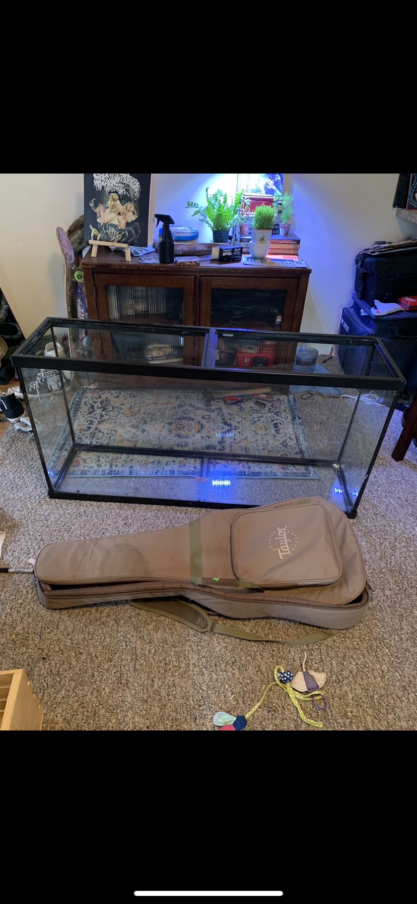 Large Glass Fish Tank ( Unknown Size )