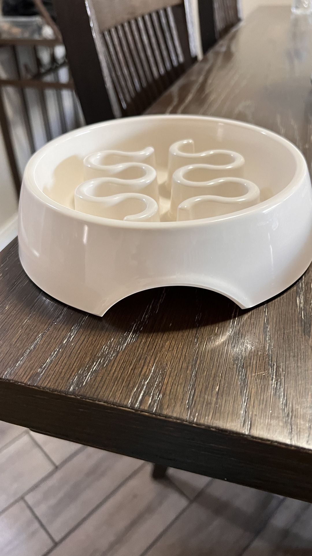 Slow Feeder Dog Bowl