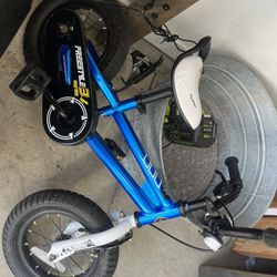 Blue 12 Inch Kids Bike (RoyalBaby)