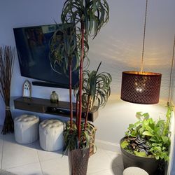 Bamboo Tree plant Decor