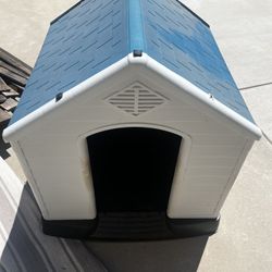 Dog House