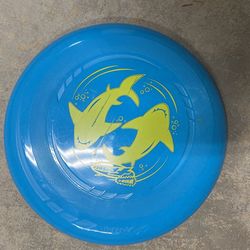 Frisbee