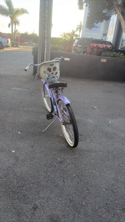 Beach cruiser bike