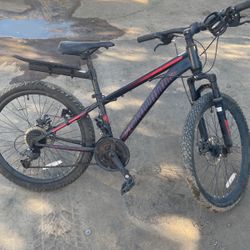 Mountain Bike