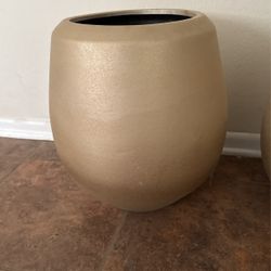 Plant Pot