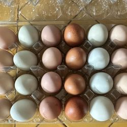 Ranch Free Range Eggs