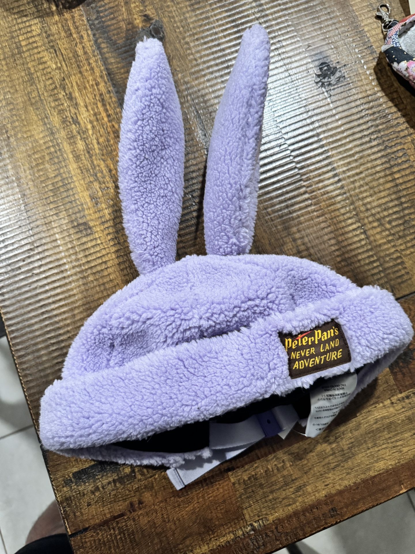 Peter Pan Lost Boys Disney Ears Tokyo Exclusive