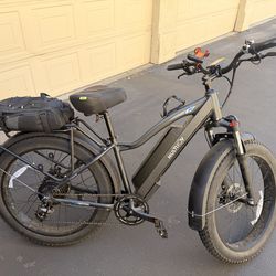 Fat Tire e-bike