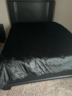 Queen Size Bed ‼️Need gone ASAP‼️
