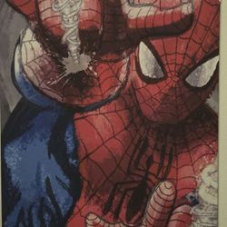 Marvel Canvas Painting 