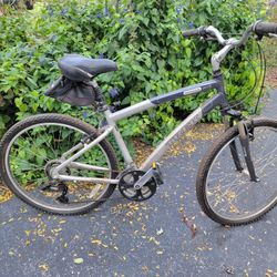 Trek Navigator Bicycle Bike 2.0 