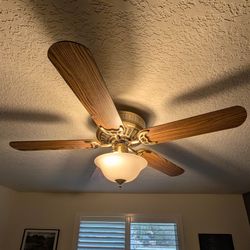 Hunter 5 Blade, 3 Speed Ceiling Fan