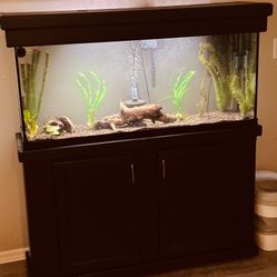55 Gallon Fish Tank With Stand 