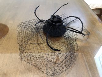 Elegant Black Feather Birdcage Hairpiece