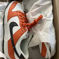 Brand New Nike Dunk Low