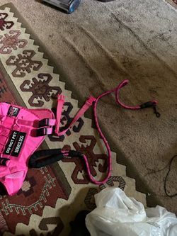 Pink Harness