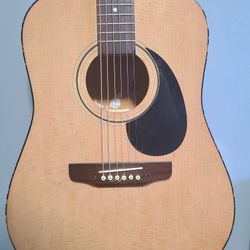 Palmer Acoustic Guitar