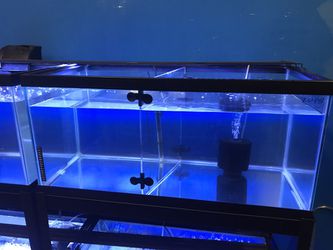 40 Gallon Breeder Fish Tank Divider
