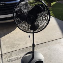 Fan 