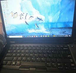Dell latitude laptop