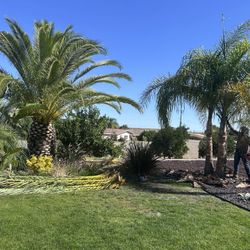Trimming