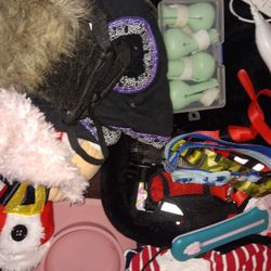 Pet Accessories 
