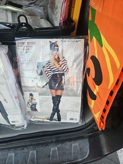halloween costumes $10