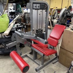 Gym Legs 
