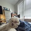 Zzzzz