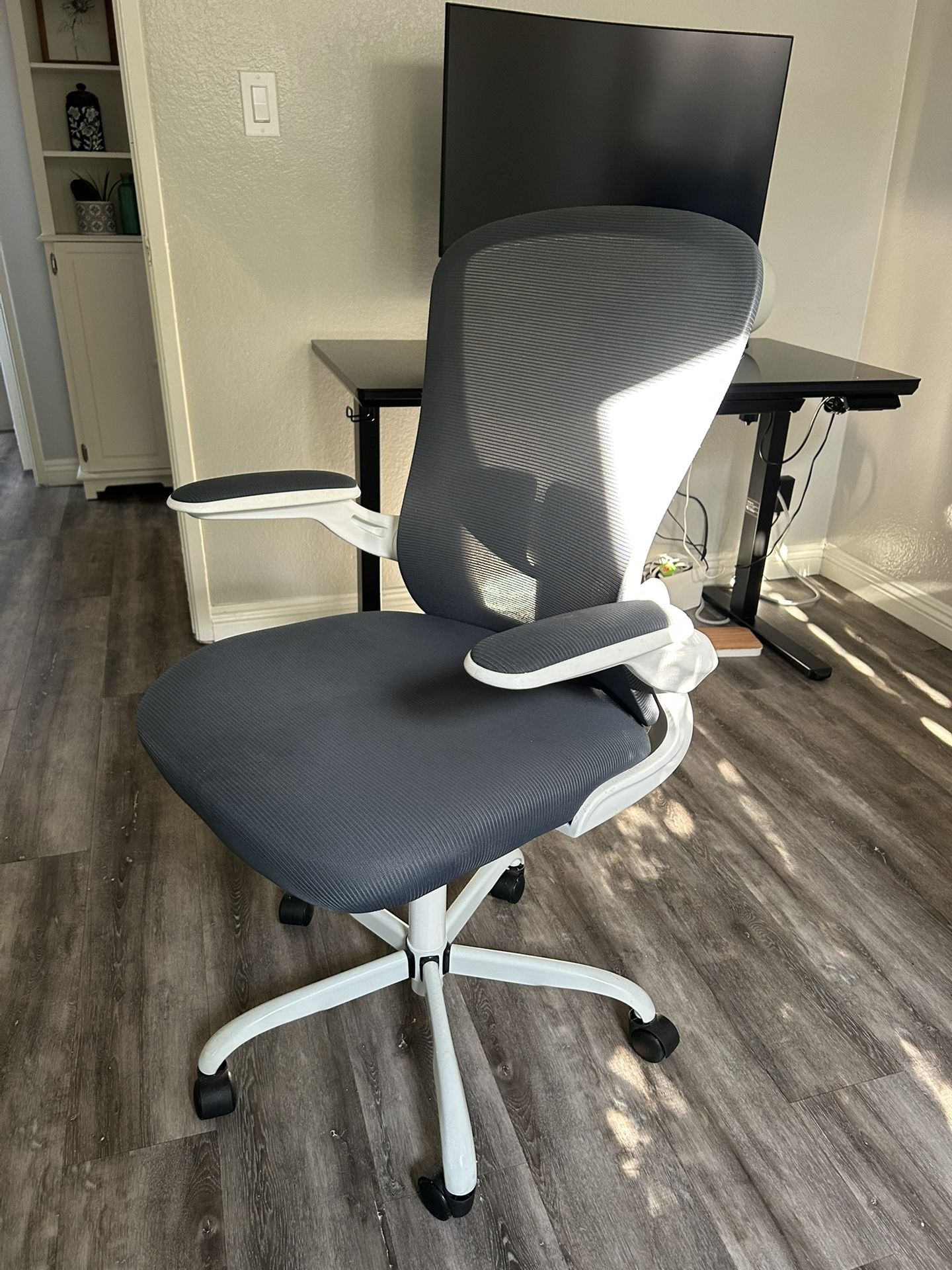 Ergonomic Office Chair