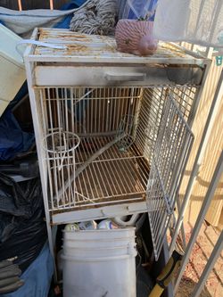 Big bird cage