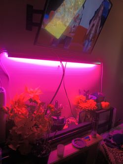LED grow Light Bar Strip
