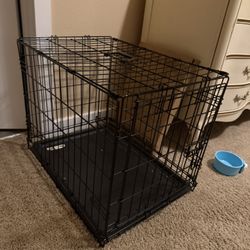 Dog Kennel