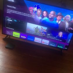 43 Inch Vizio Tv