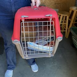 Small Pet Carrier