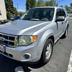 2010 Ford Escape